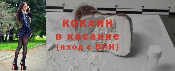 индика Зеленокумск