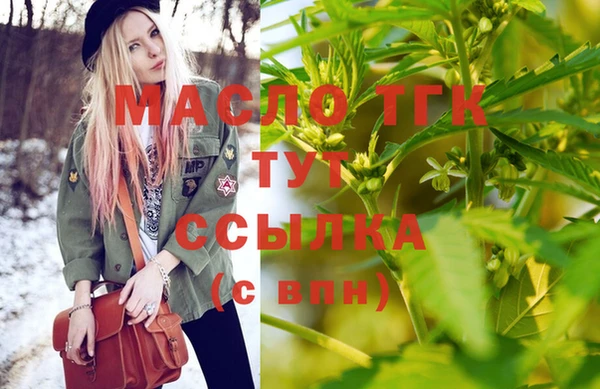 индика Зеленокумск