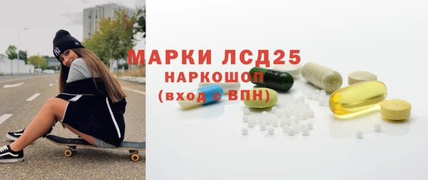 индика Зеленокумск