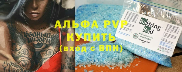 индика Зеленокумск
