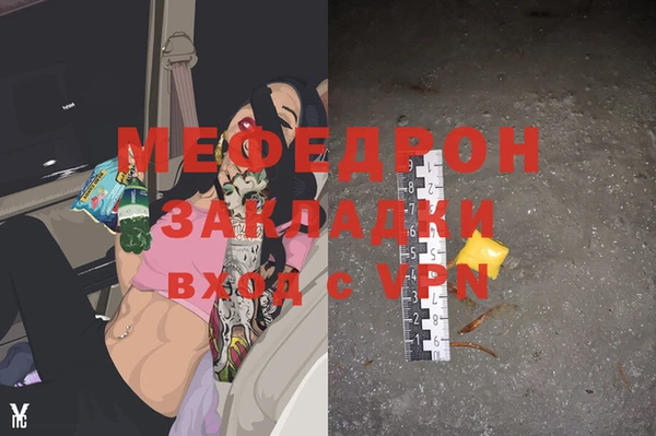 индика Зеленокумск