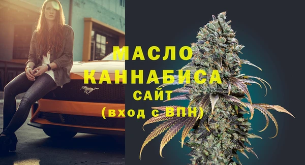 индика Зеленокумск