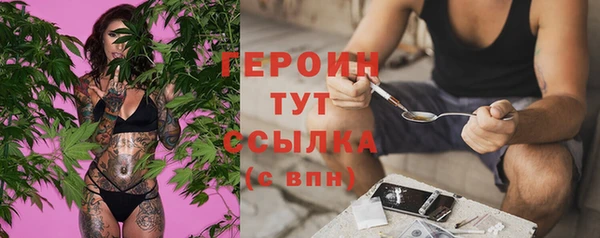 индика Зеленокумск