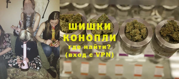 индика Зеленокумск