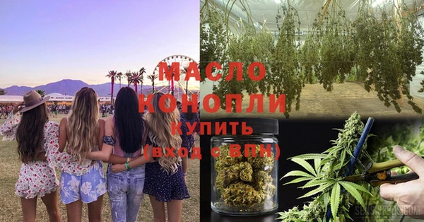 индика Зеленокумск