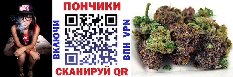 Купить  Белая Холуница  Шишки марихуана Ganja 